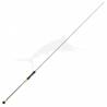 Canne Daiwa Saltiga Slow Jigging