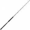 Daiwa Sealine X Trolling