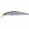 Lure Jackson Artist FR105 - WAK