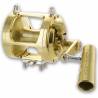 Alutecnos Albacore 50 single speed - Gold