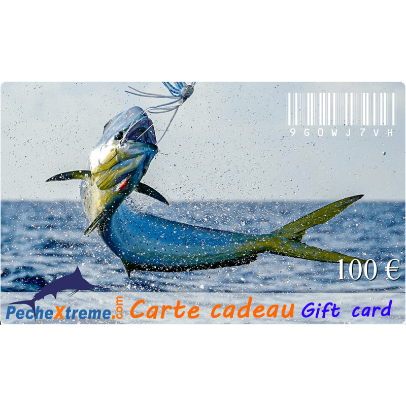 Carte cadeau-100 Carte cadeau-100