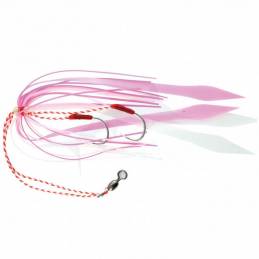 Explorer Assist Kab - SJ - Saint-Jacques Rose / Phospho