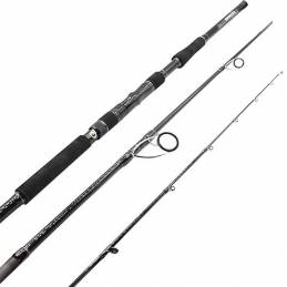 S-Craft Black Domina 81H Expédition