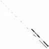 Daiwa Saltist Off Shore