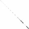 Daiwa Saltist Off Shore