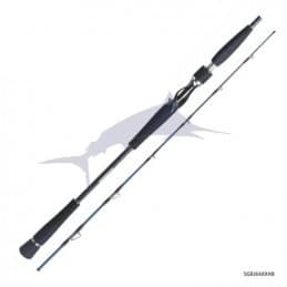 Daiwa Saltiga Bay Jigging (64XXHBBF)