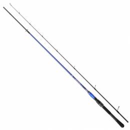 Canne Deep Blue Jigging Hearty Rise 2021