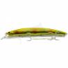 Lure Palms Ark Rover - AL-429
