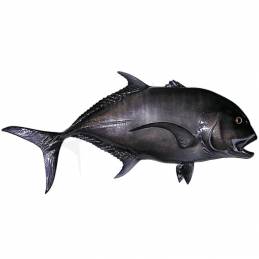 Carangue Ignobilis noire