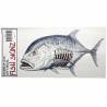 Decal FishSkinz