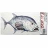 Decal FishSkinz