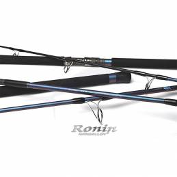 Temple Reef Ronin