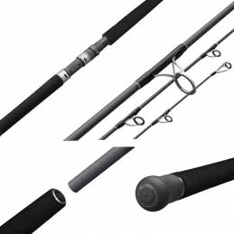 Olympic Protone BC exo