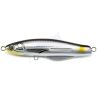NS Black Hole Boca Pencil-001 SARDINE