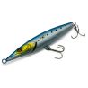 Xorus Asturie 110