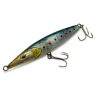 Xorus Asturie 110
