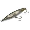 Xorus Asturie 110