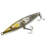 Xorus Asturie 110