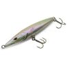 Xorus Asturie 110