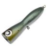 Temple Reef Ballista Bull 125-Gris