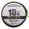 Daiwa Saltiga X Link Fluorocarbon Leader - 10 LB