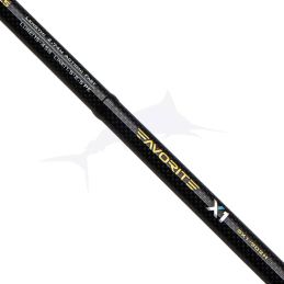 Canne Favorite Saltwater X1 - 902H