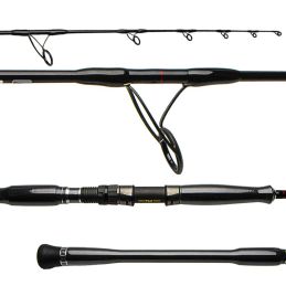 Canne NS Black Hole Black Magic Eye - S-541MH