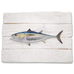 Bluefin Tuna