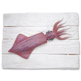 Squid