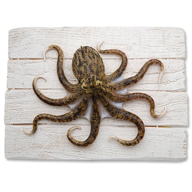Cadre poisson Poulpe Cap Vert Cadre poisson Poulpe Cap Vert