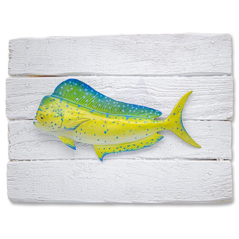 Dolphinfish Dolphinfish