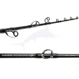 Sunset Baroudeur Tuna Trainer