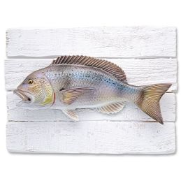 Cadre poisson Denti Cap Vert