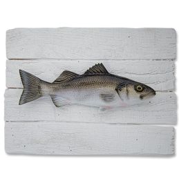 Sea Bass