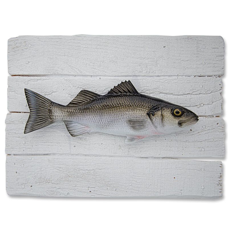 Sea Bass