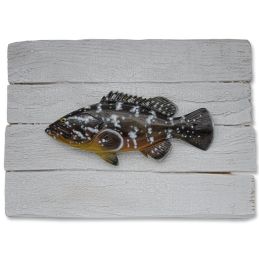 Cadre poisson Mérou BrunCap Vert