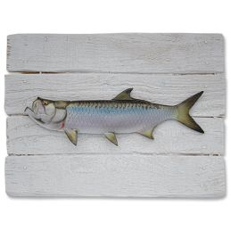 Megalops