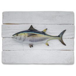Cadre poisson Thon Rouge Bouboule Cap Vert