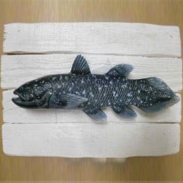 Coelacanth