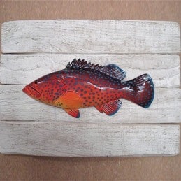 Cadre poisson Mérou de corail Cap Vert