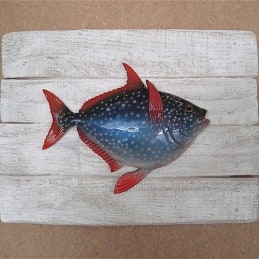 Opah