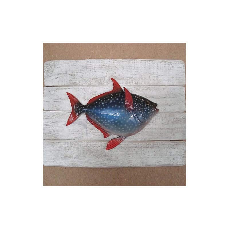 Cadre poisson Opha  Cap Vert