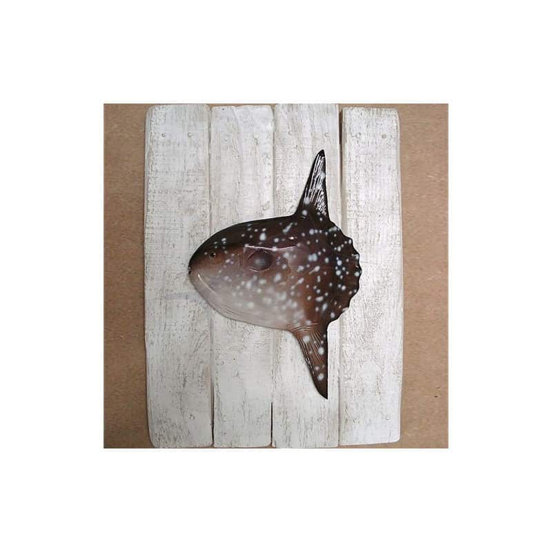 Cadre poisson lune Cap Vert