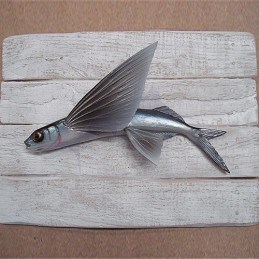Flying Fish