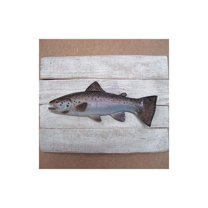 Cadre poisson saumon d'Atlantique Cap Vert Cadre poisson saumon d'Atlantique Cap Vert
