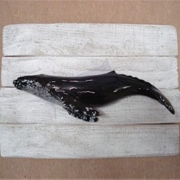 Cadre poisson Baleine à bosses Cap Vert