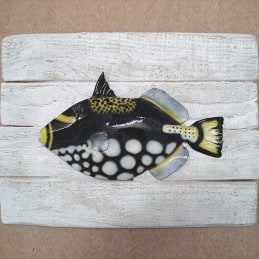 Cadre poisson Baliste Clown Cap Vert