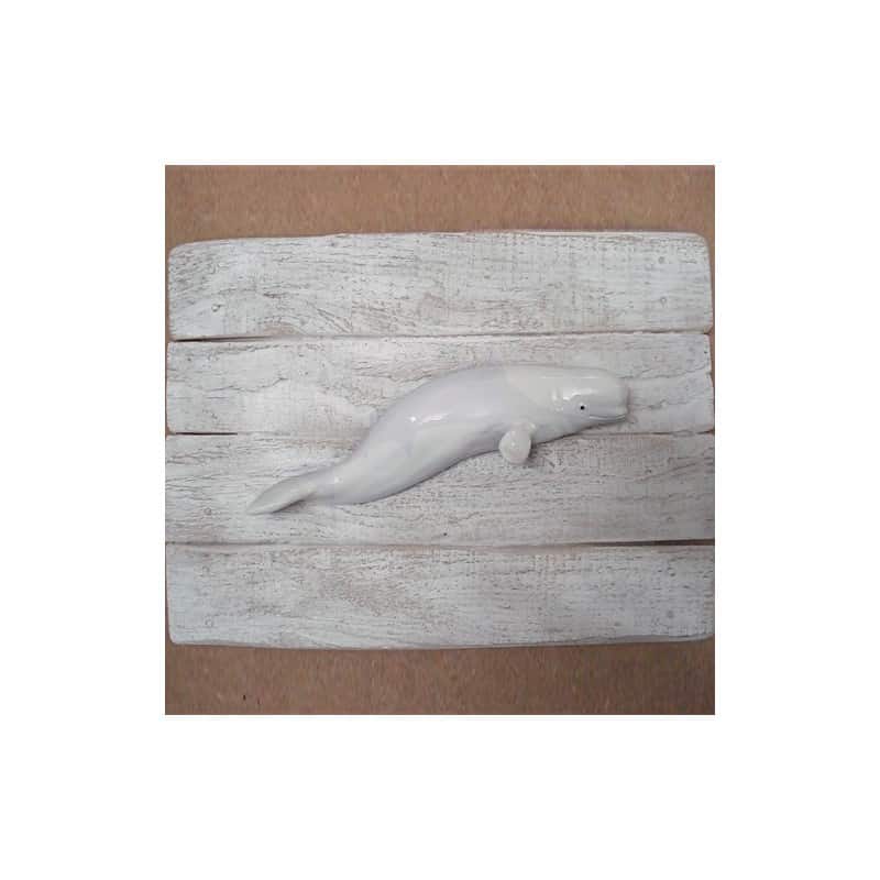 Beluga Beluga