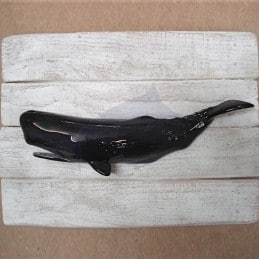 Whale