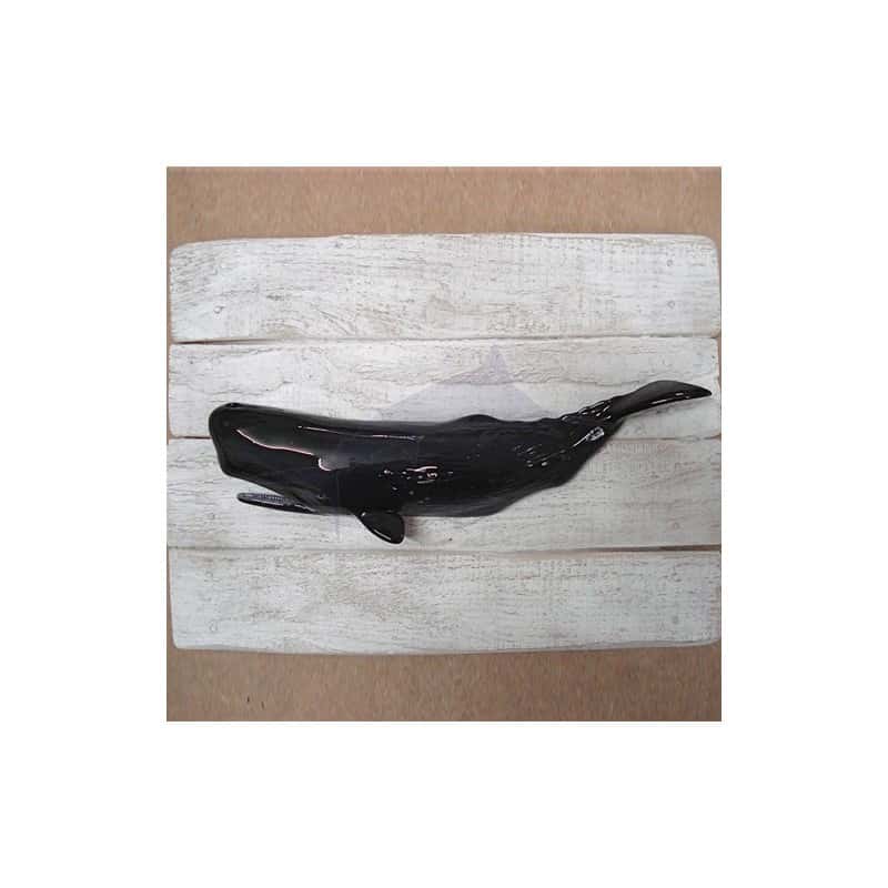 Cadre poisson Cachalot Cap Vert
